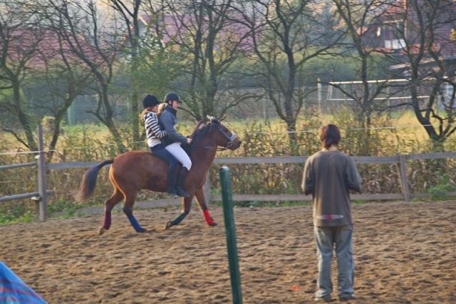 Hubertus 2009